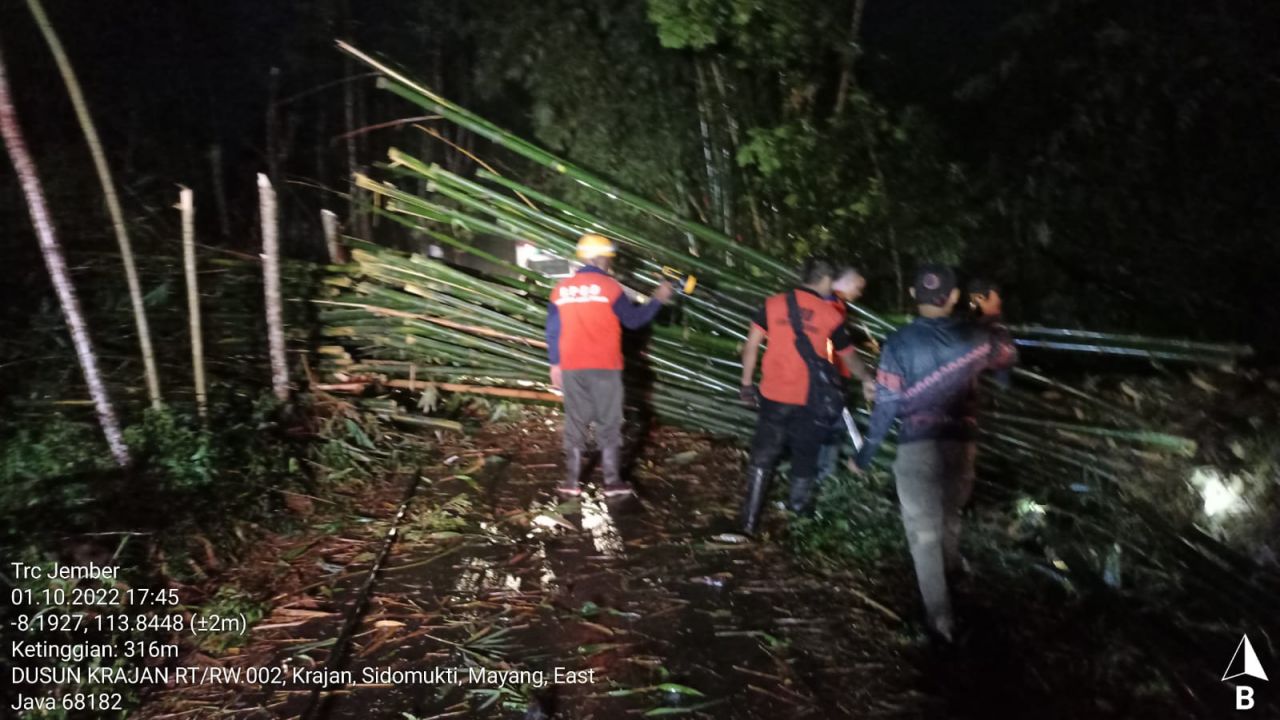 Rerimbunan Pohon bambu tumbang saat Belasan rumah, satu warung, dan musala milik warga Dusun Krajan, Desa Sumberkejayan, Kecamatan Mayang  Kabupaten jember rusak di terjang hujan deras dan angin kencang, sabtu (1/10/2022)