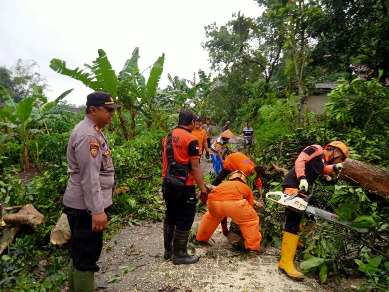 Anggota BPPD Kabupaten Jember turun membantu evakuasi korban Belasan rumah, satu warung, dan musala milik warga Dusun Krajan, Desa Sumberkejayan, Kecamatan Mayang  Kabupaten jember rusak di terjang hujan deras dan angin kencang, sabtu (1/10/2022)