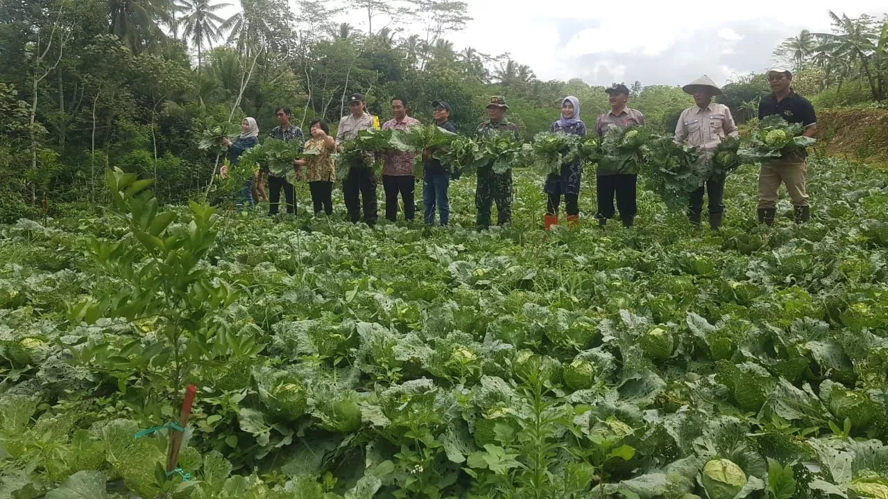 Desa Bangelan Malang Kembangkan Food Estate Dengan Konsep Edu-Wisata