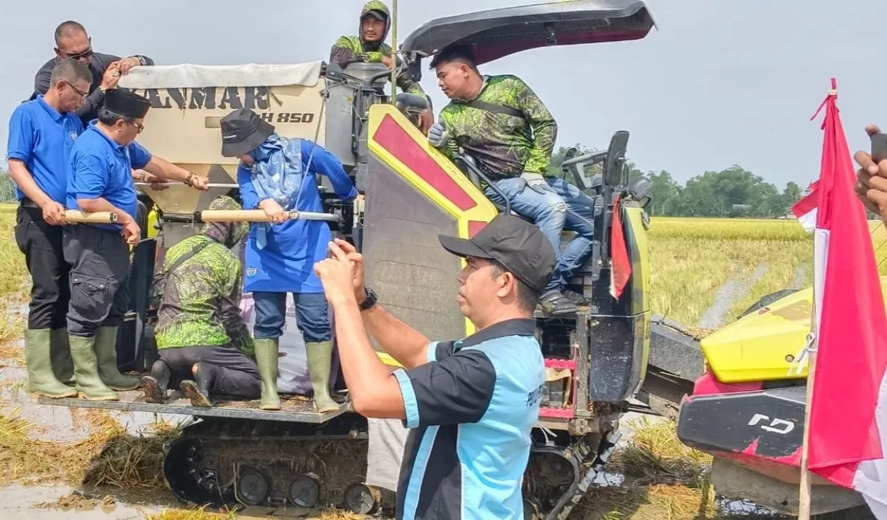 Gerakan Nasional, Pemerintah Kabupaten Pidie Panen Padi Nusantara 1 Juta Hektar