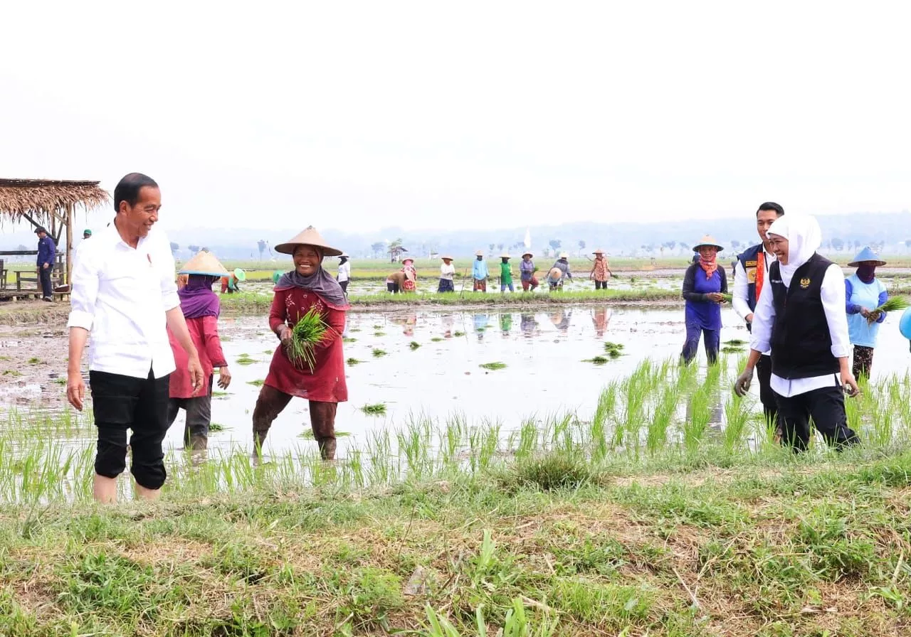 Ketersediaan Air Masih Melimpah, Percepatan Masa Tanam untuk Jaga Produktivitas Beras Jatim