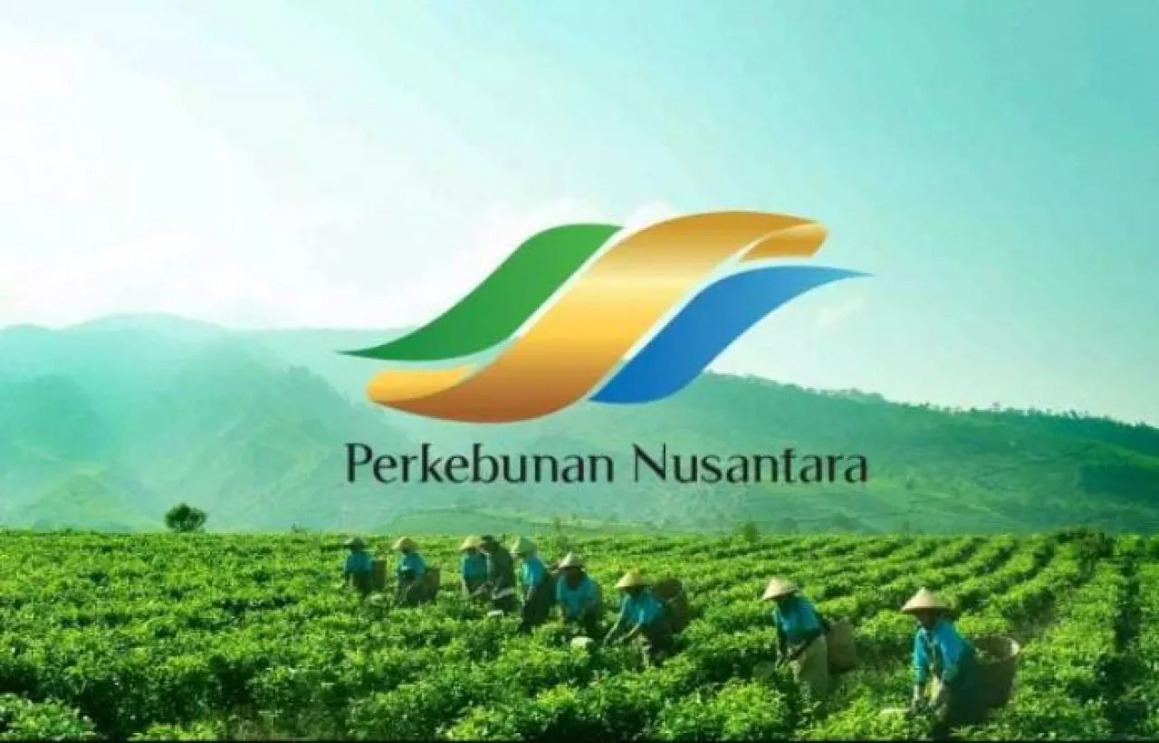 Pembentukan Amco di PTPN III Perlu Dikaji Mendalam
