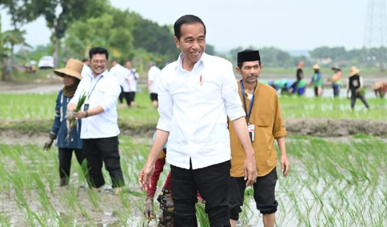 Presiden Jokowi Apresiasi Penggunaan Pupuk Organik Oleh Petani Tuban
