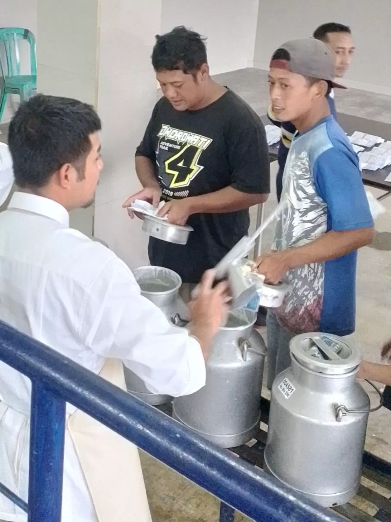 Peternak sedang melakukan setor susu sapi