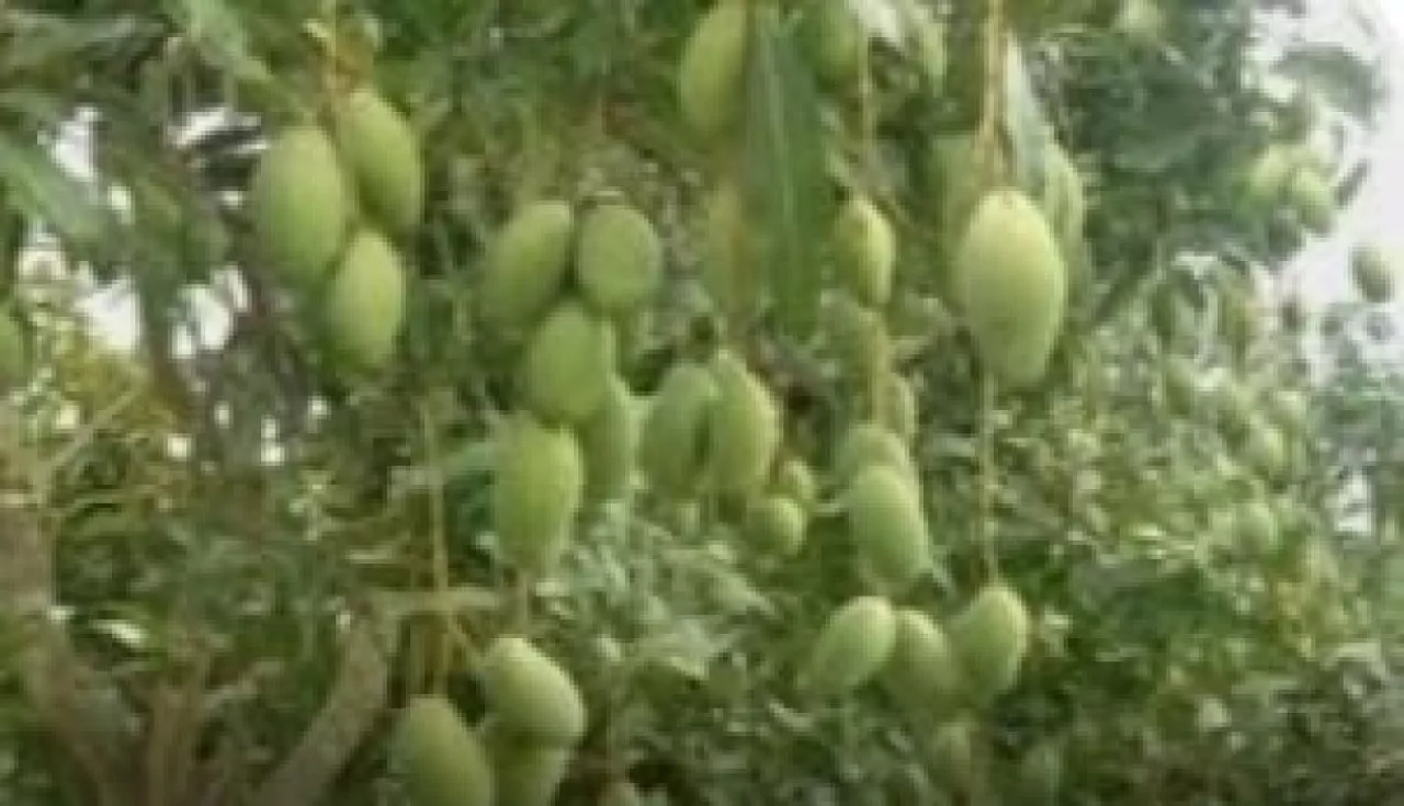 Memberi Hadiah Kepada Diri Sendiri