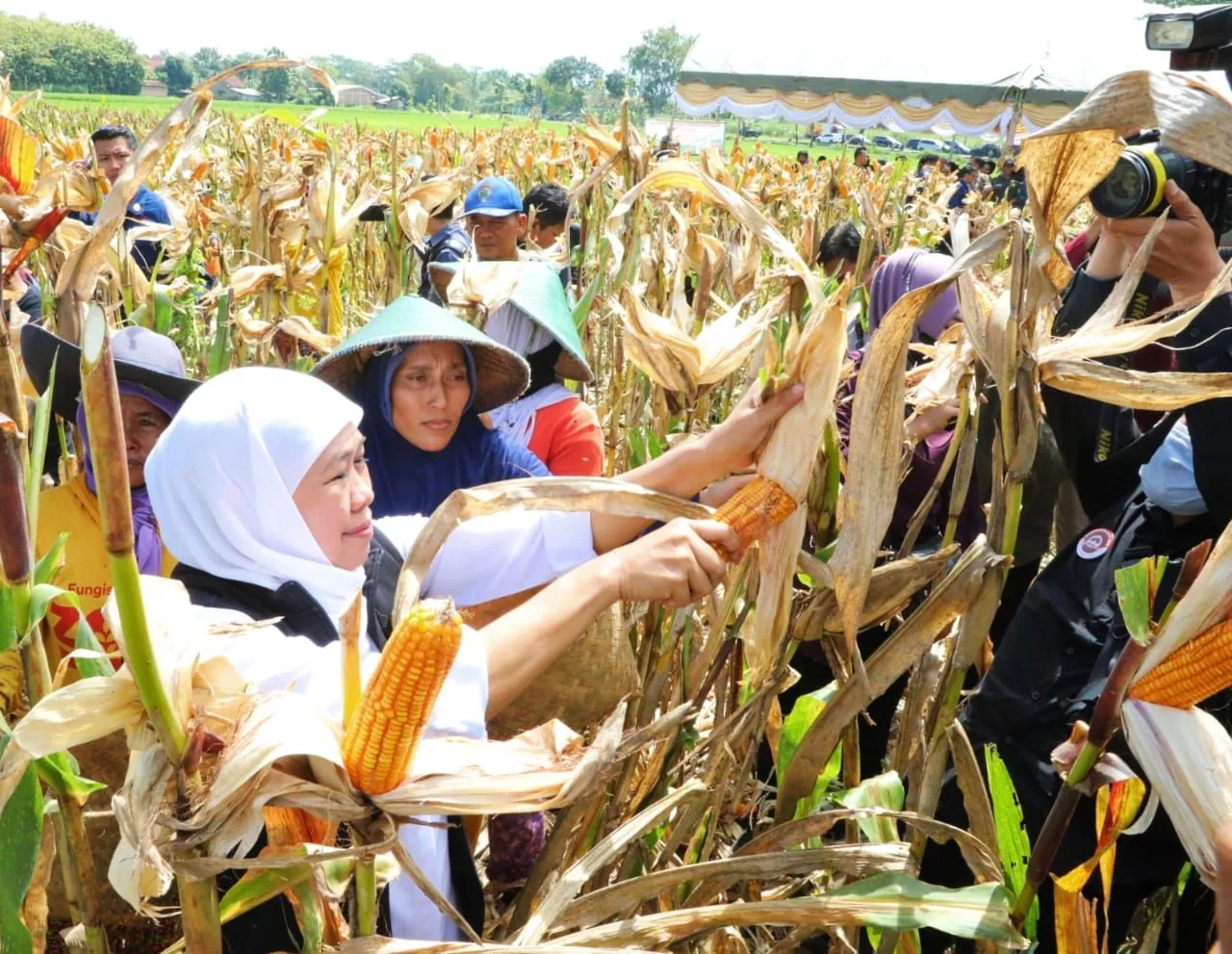 Gubernur Khofifah: Peningkatkan Produktivitas Pertanian Harus Selaras dengan Kesejahteraan Petani