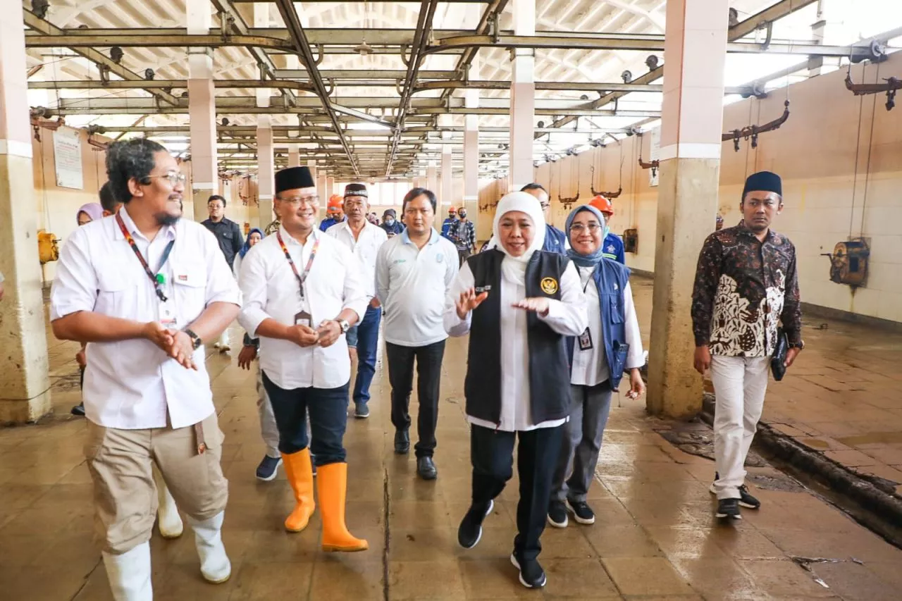 Jelang Idul Adha, Gubernur Khofifah Himbau Penyembelihan Hewan Kurban Terapkan Prinsip Animal Welfar
