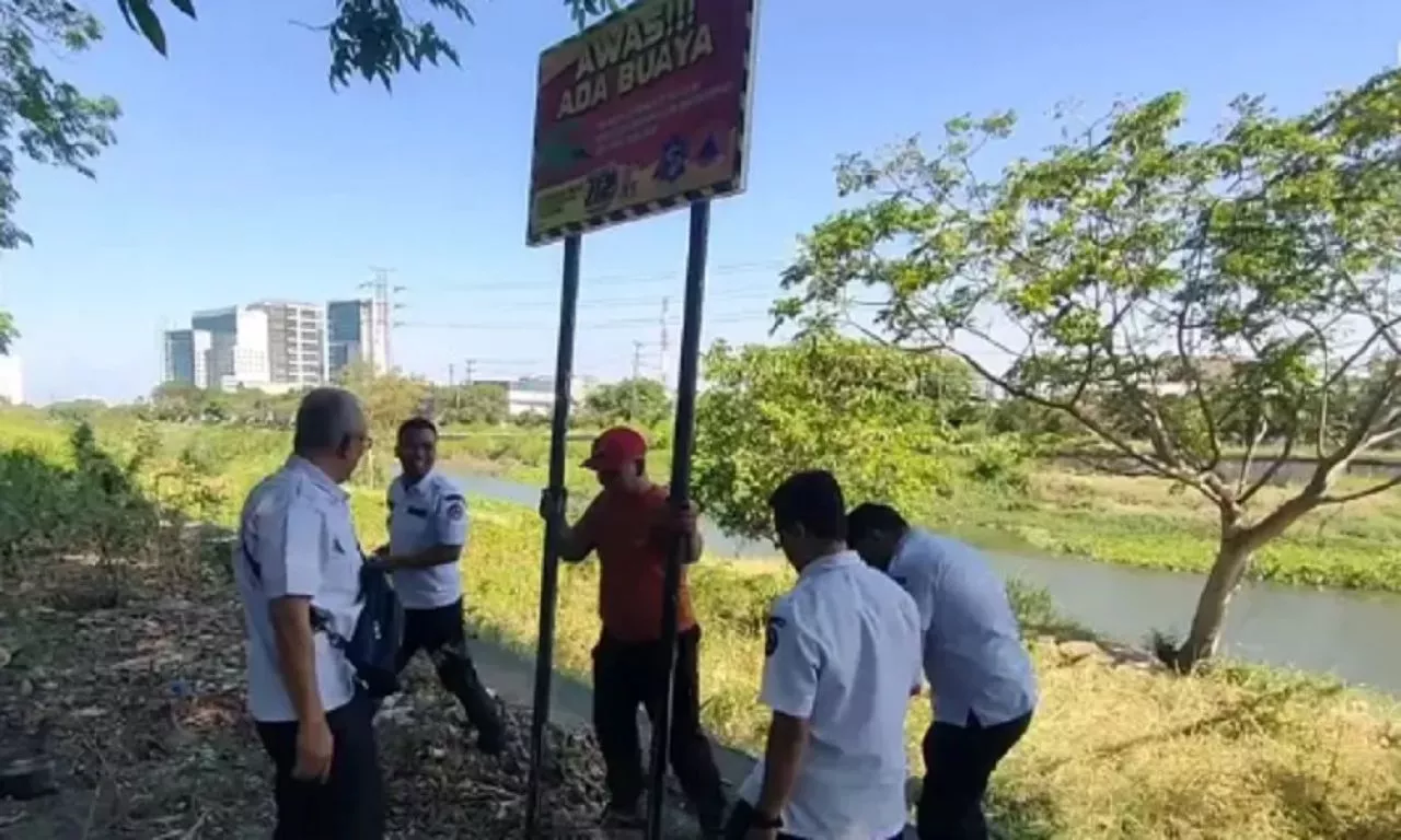 BPBD Surabaya Pasang Papan Peringatan Awas Ada Buaya Di Sungai Nginden