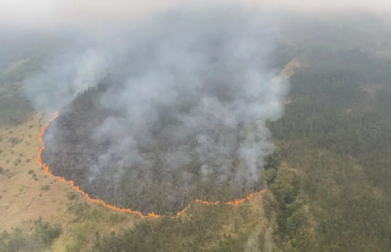 Kebakaran Hutan Landa Gunung Semeru dan Gunung Arjuno, Gubernur Ajak Sholat Istisqo