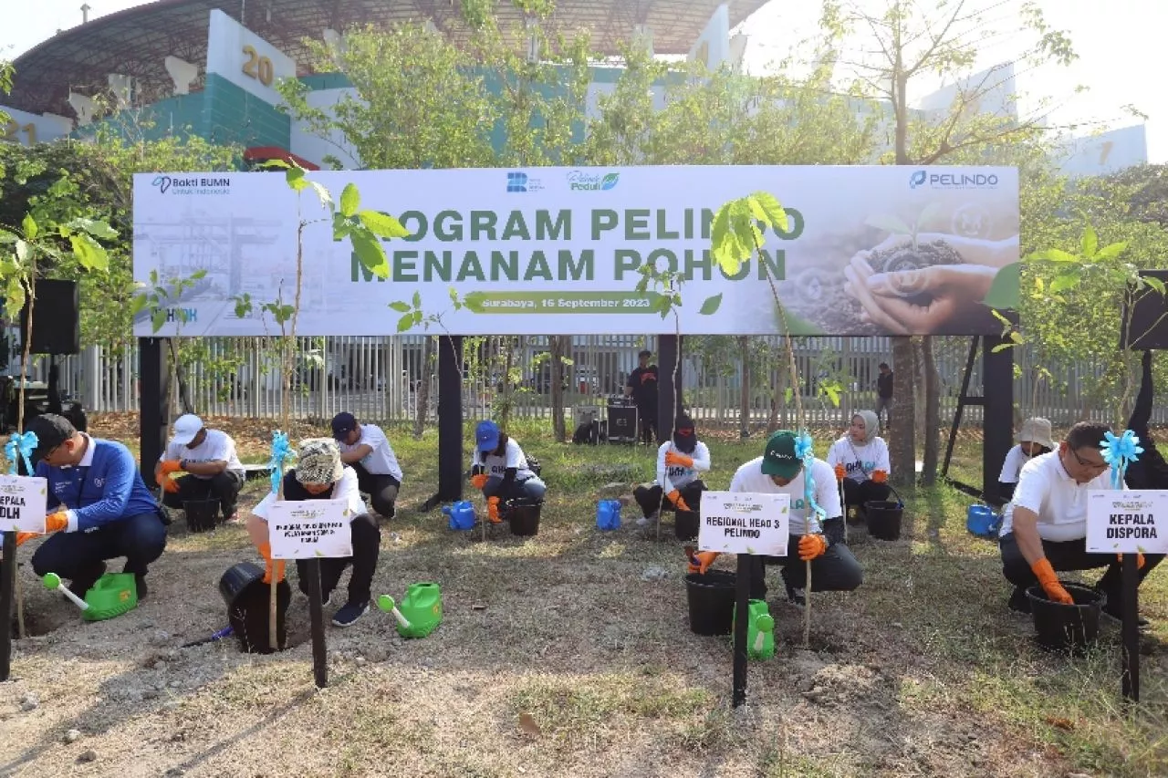 Pelindo Regional 3 Tanam 2500 Bibit Pohon Serempak di 4 Kota
