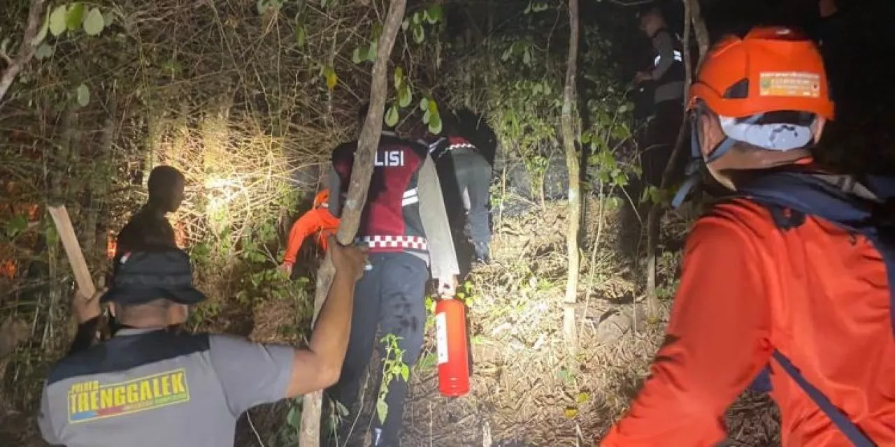 Lahan Perhutani Di Trenggalek Terbakar