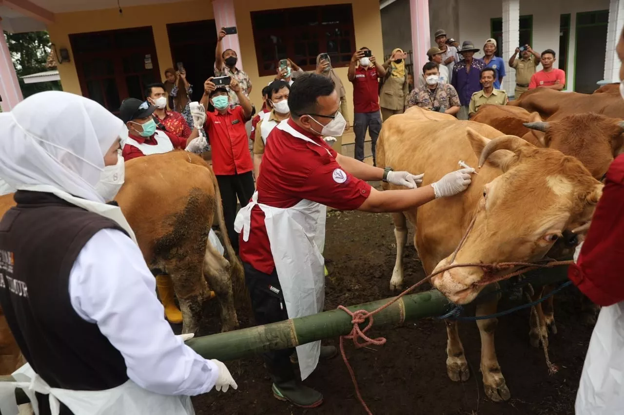 Peringatan Bulan Bakti Peternakan dan Kesehatan Hewan, Jatim Raih 4 Penghargaan