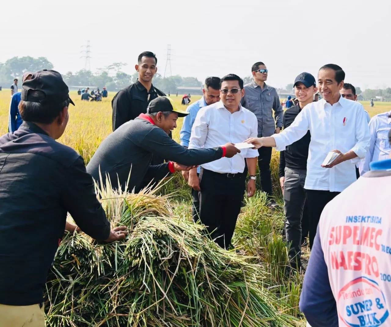 Panen Raya Semester Kedua, Jokowi: Cadangan Beras Nasional Diharapkan Bertambah