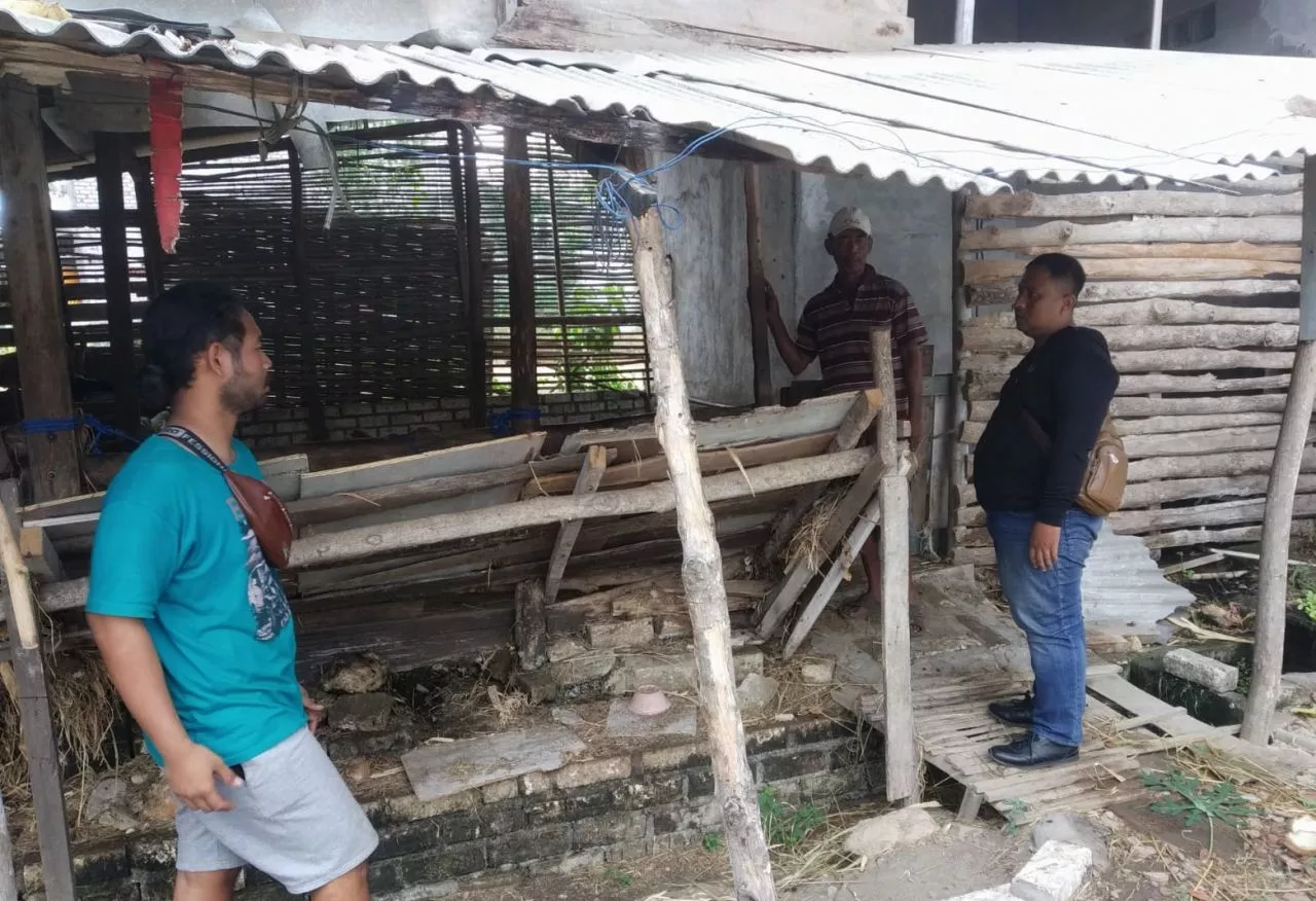 Berbekal Rekaman CCTV, Polisi Buru Pelaku Pencurian Sapi di Brondong