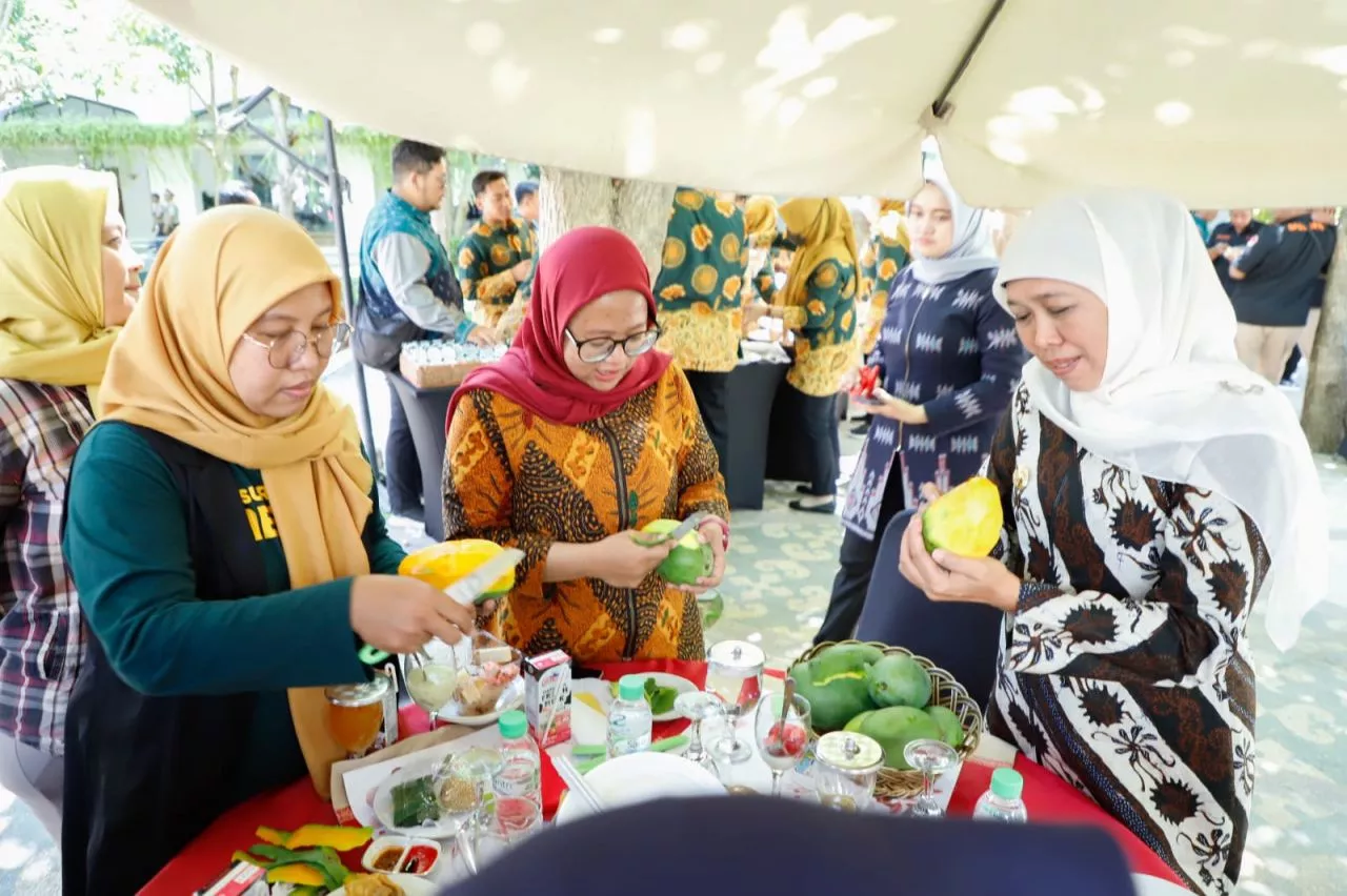Legitnya Mangga Asal Kediri