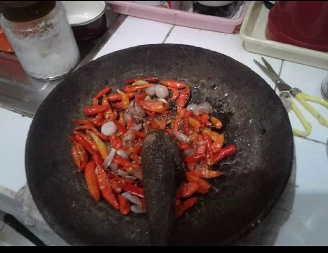 Dasar Ilat Mogel