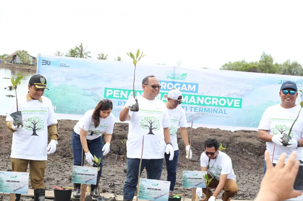 Pelindo Multi Terminal Tanam 8000 Bibit Mangrove Di Kalimantan