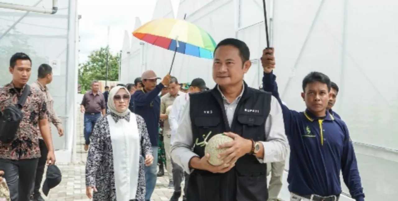 Bupati Yuhronur Apresiasi Inovasi DKPP
