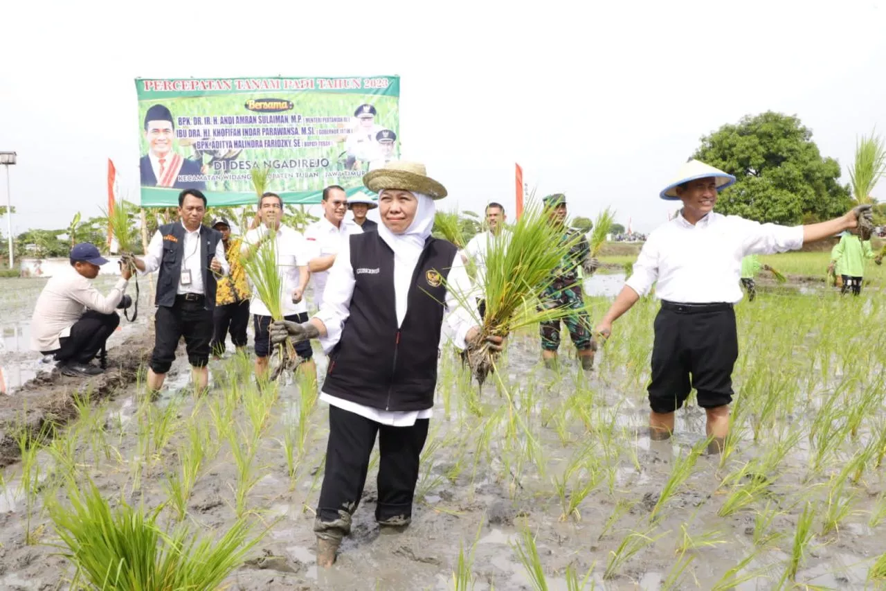 Khofifah Ajak Petani Wujudkan Kedaulatan Pangan Nasional Melalui Bantuan Benih Benih Padi dan Jagung