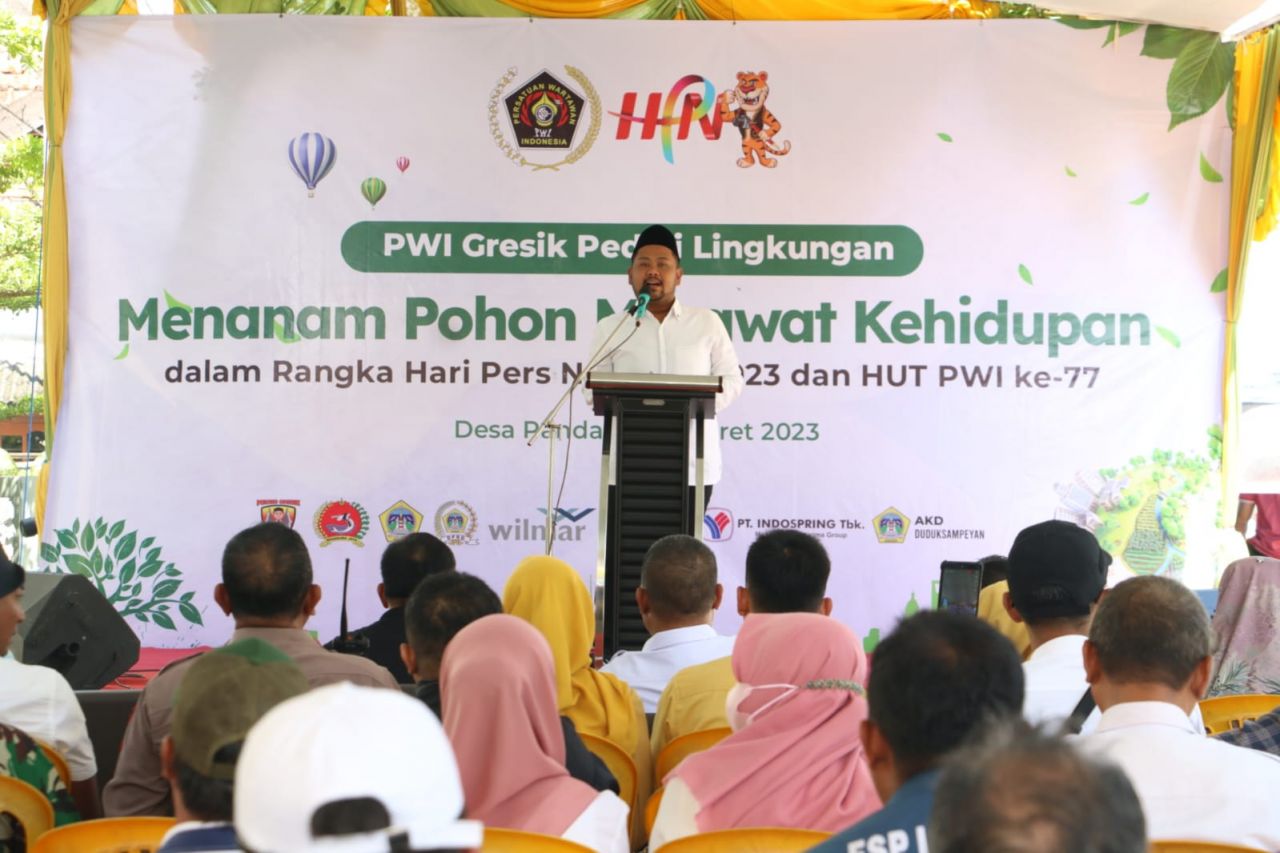 250 Pohon Tabebuya Akan Di Tanam Di Sepanjang Jalan Duduk Sampeyan, Titik Nol Gresik-Lamongan