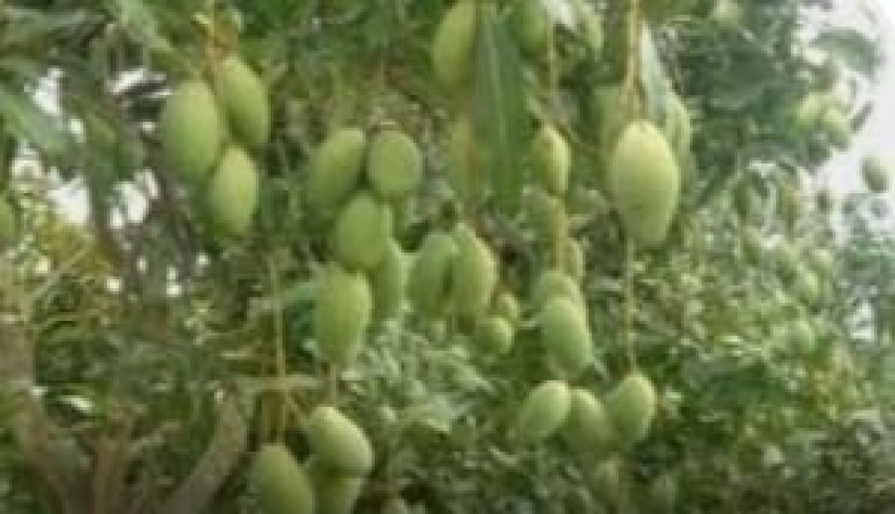 Memberi Hadiah Kepada Diri Sendiri