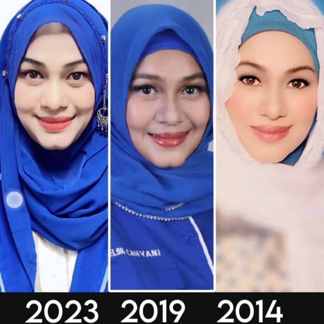 Tiga Kali Maju Caleg Demokrat, Elok Cahyani: Isu dan Dinamika Politiknya Berbeda