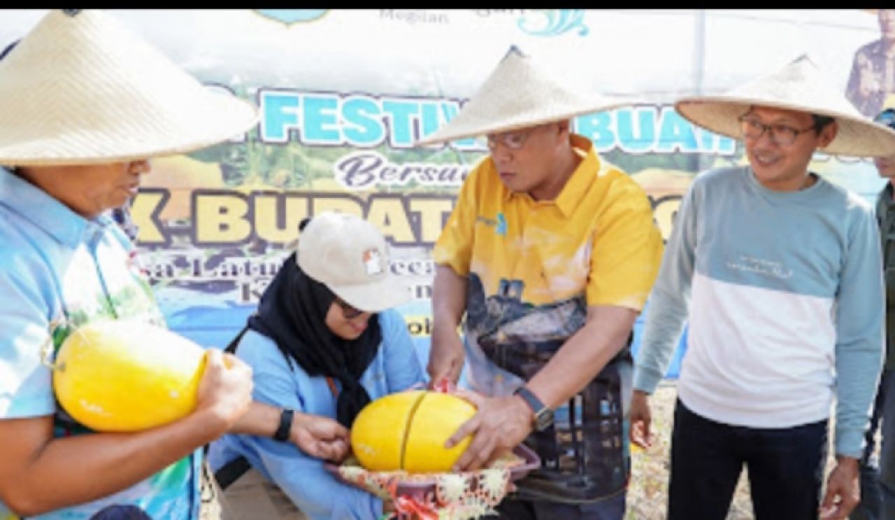 Wabup Lamongan, Abdul Rouf didampingi Sekkab M. Nalikan dan Camat Karanggeneng, Harwah petik buah semangka diacara Festival Buah Latukan di Desa Latukan Kecamatan Karanggeneng, Minggu (8/10/2023)