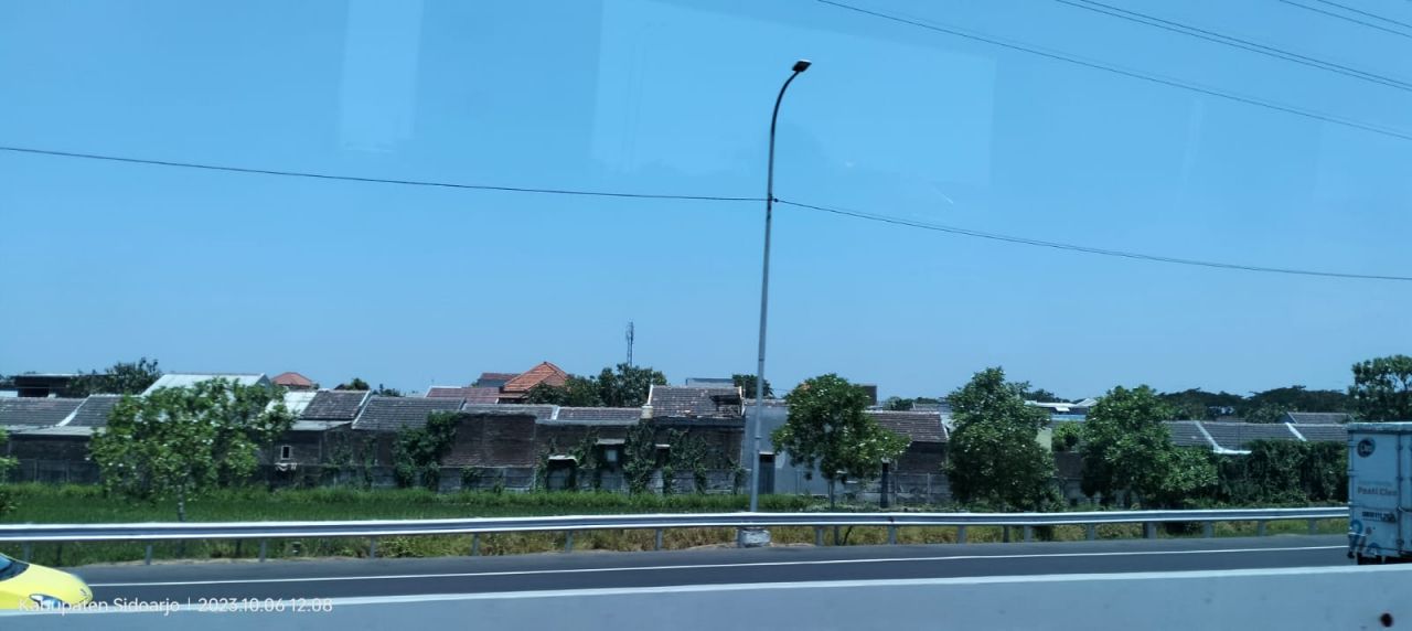 Membangun Sebuah Organisasi