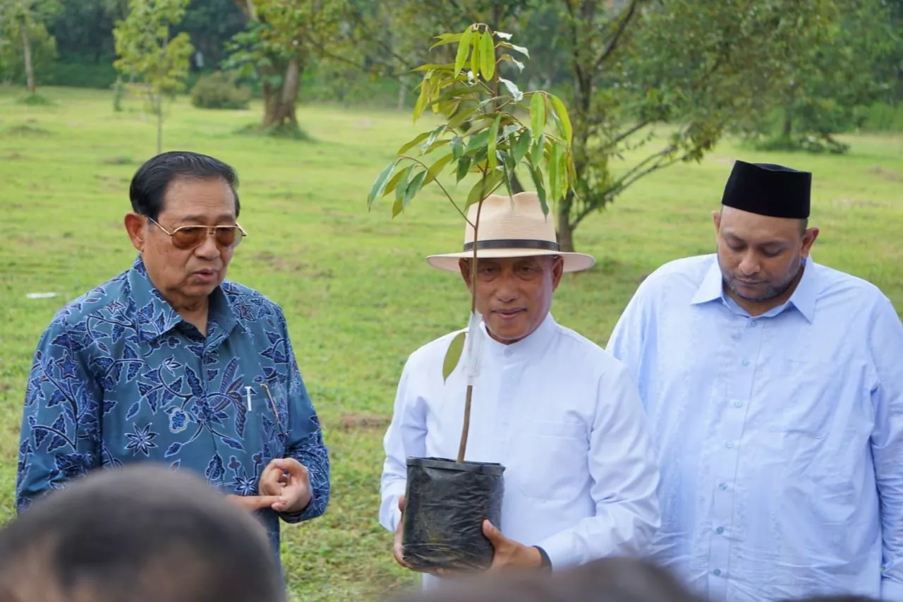 SBY akan Kawal Janji Jokowi Angkat Guru dan Pegawai Honorer Jadi ASN