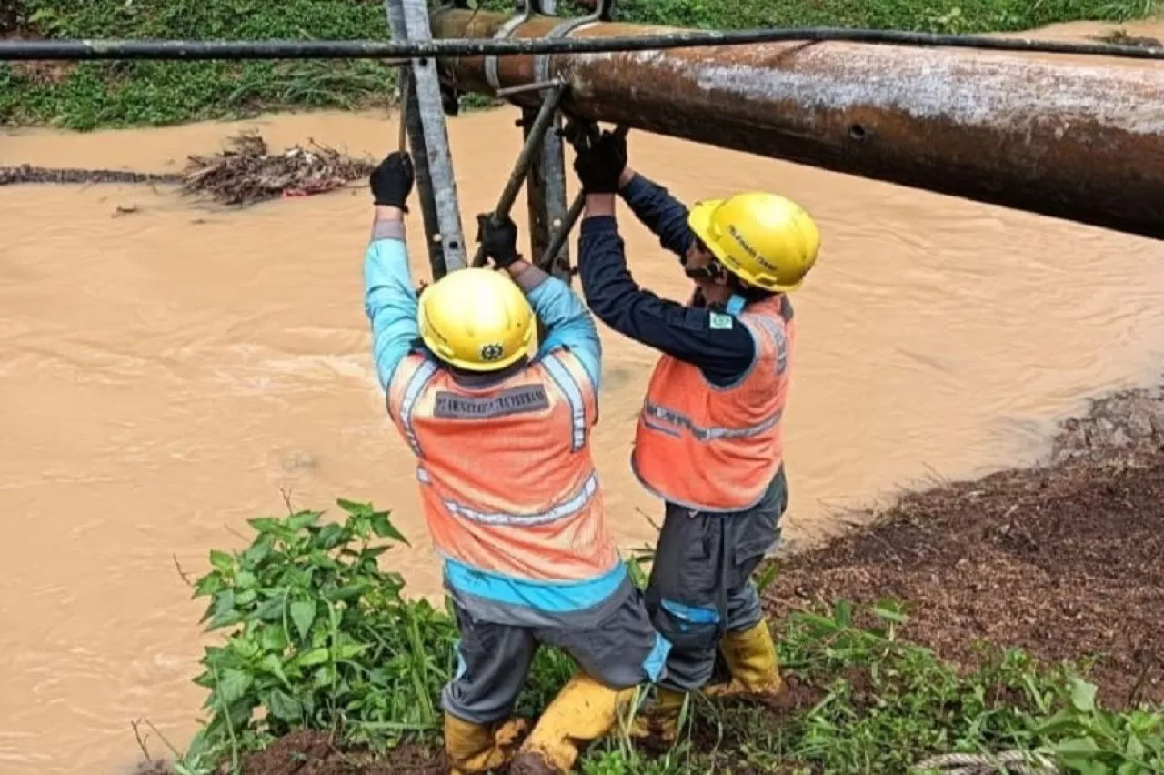 Awas, Kabel listrik Tertimpa Pohon Segera Lapor 123