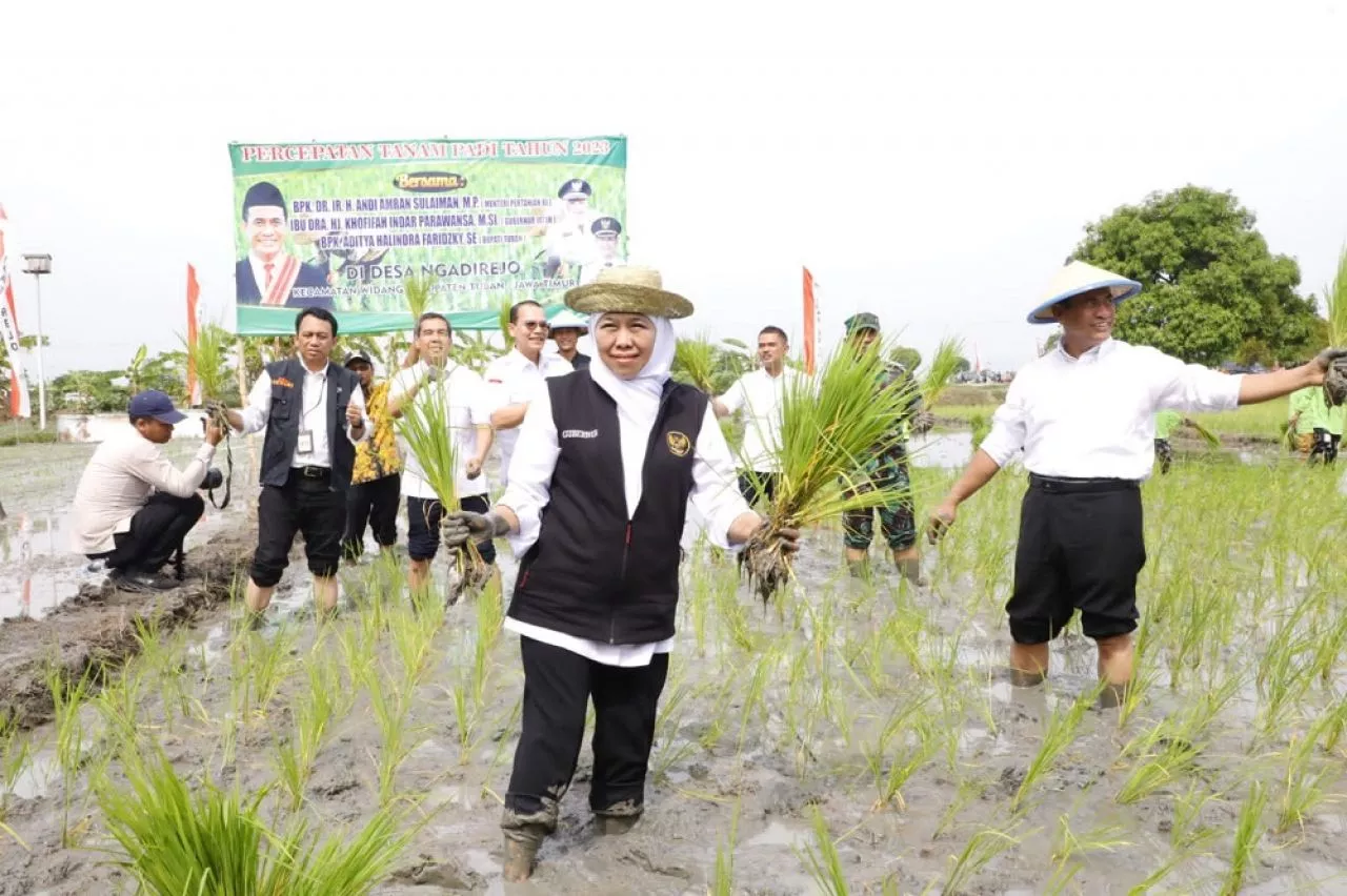 NTP Jatim Desember 2023 Tertinggi Sejak 2019, Tegaskan Posisi Jatim Sebagai Lumbung Pangan Nasional