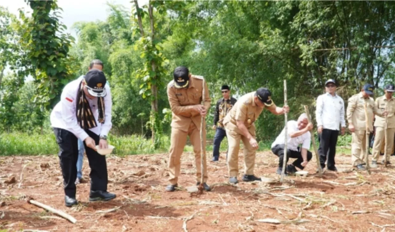 Kementan Tingkatkan Produksi Jagung Nasional, Lamongan Jadi Andalan