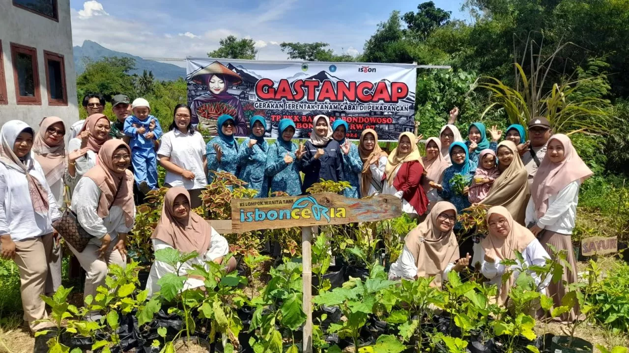 Tanam Cabe Serentak Di Pekarangan, Upaya Wujudkan Ketahanan Pangan Keluarga PKK Bondowoso