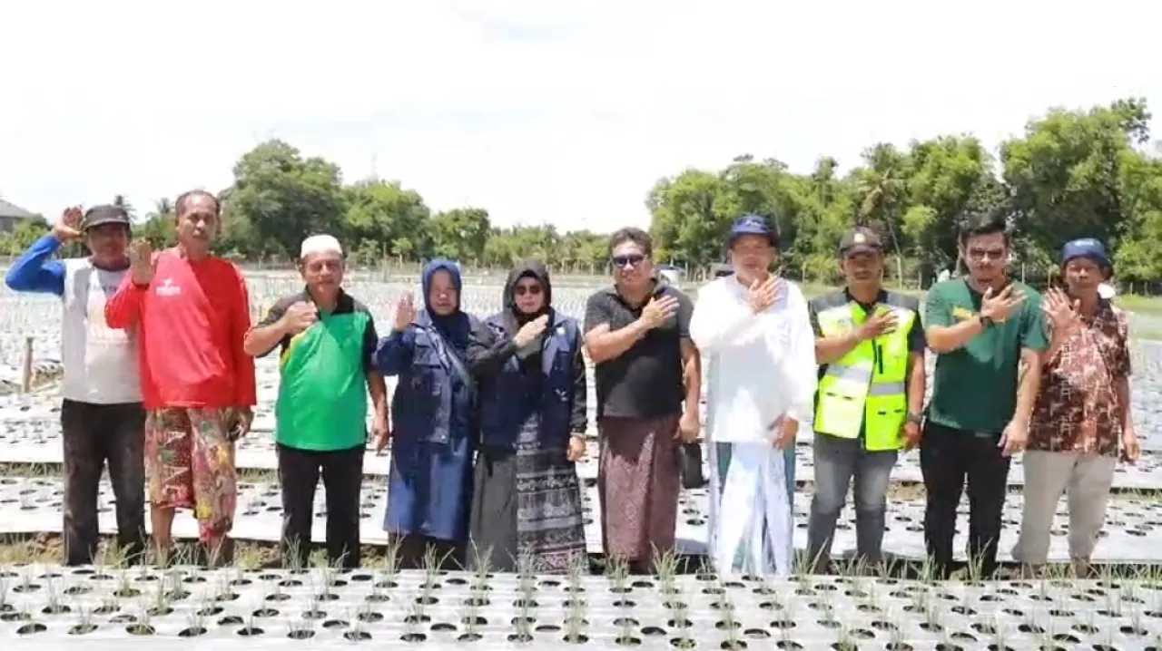Tanggulangi 5 Masalah Besar PJ Bupati Pidie Berharap Pidie Menjadi Sentra Bawang Merah Nasional