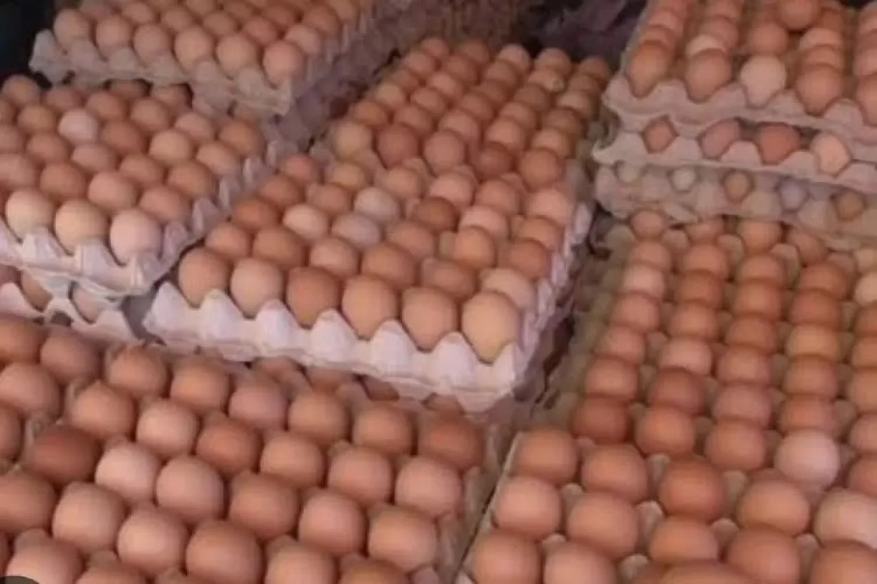 Paling Mahal se-Jatim, Segini Harga Telur Ayam Ras di Kota Blitar Perkilogramnya