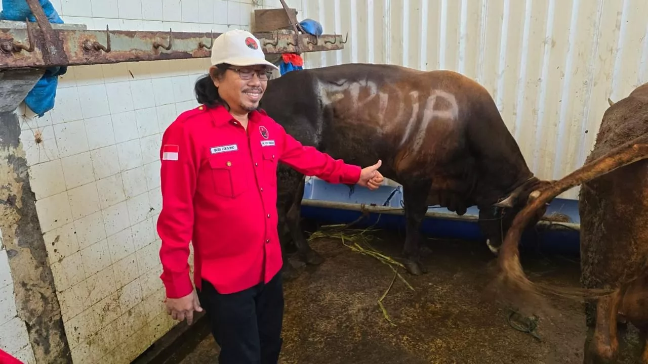 Potong 15 Sapi, PDIP Surabaya: Idul Adha Momen Perkuat Spiritual dan Semangat Berkurban