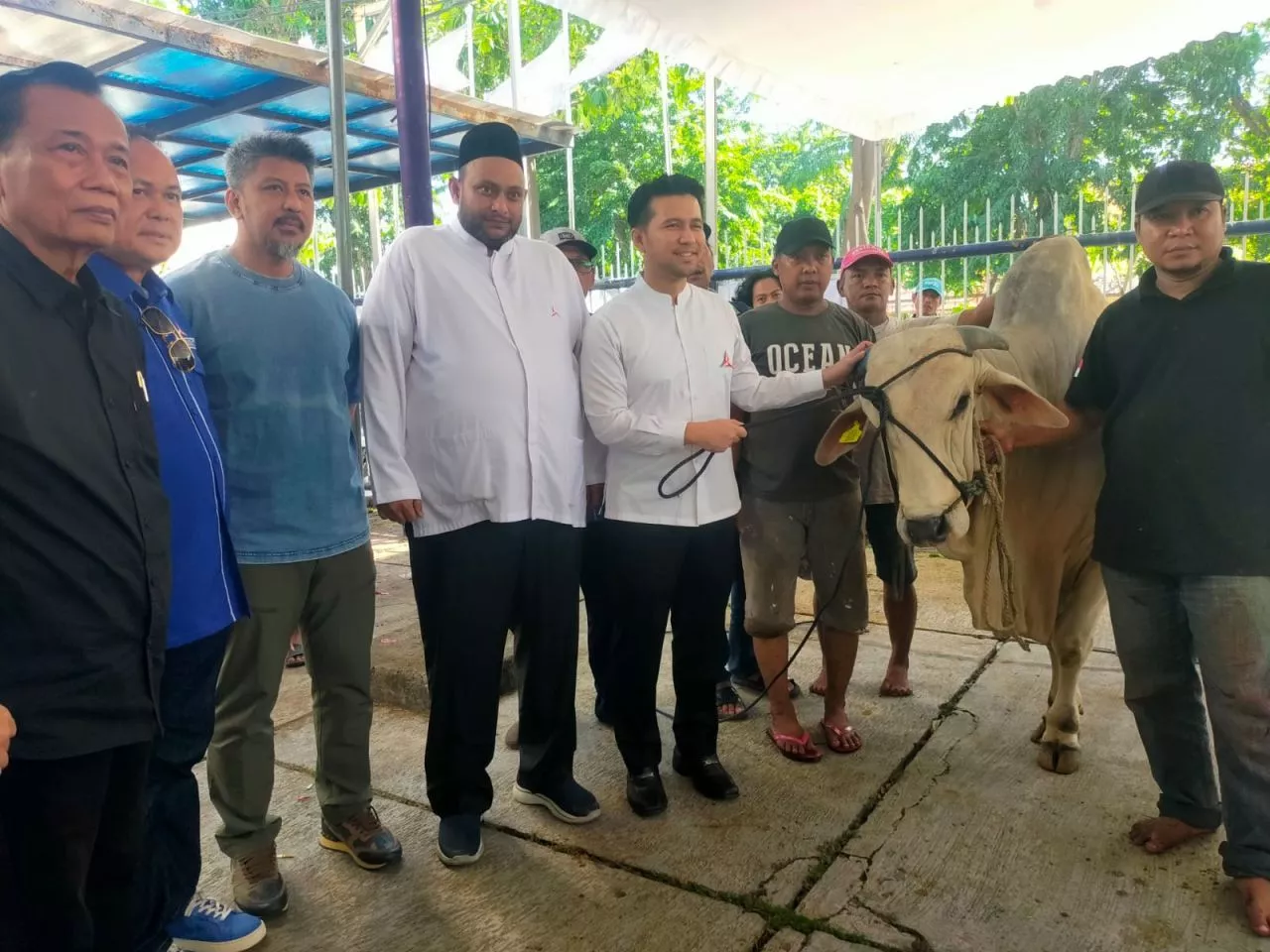 DPD Partai Demokrat Jatim Sembelih 15 Hewan Kurban pada Hari Kedua Idul Adha