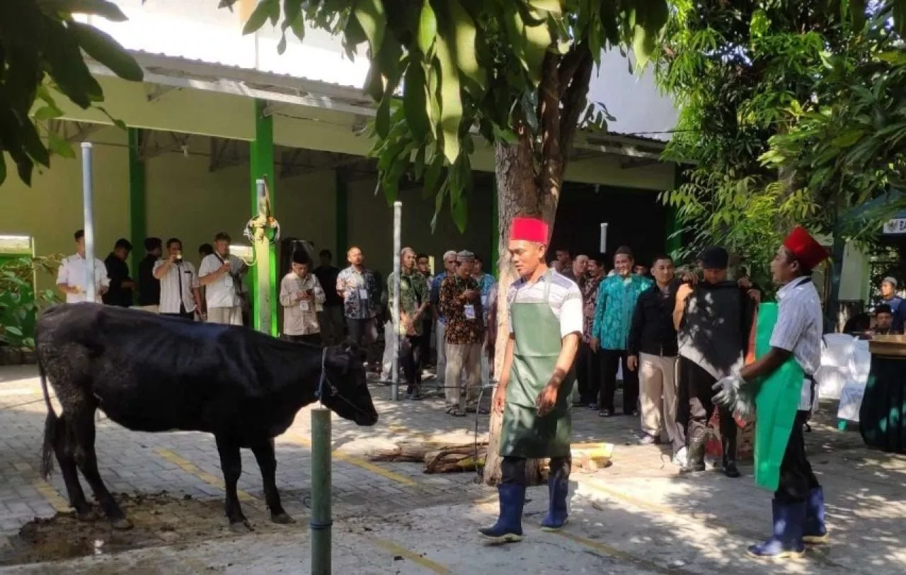 Menjelang Iduladha, Pemkot Mojokerto Gelar Pelatihan Bersertifikat untuk Juru Sembelih Halal