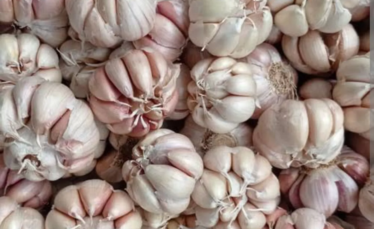 Kompak dengan Sidoarjo, Berikut Update Harga Bawang Putih di Kota Blitar Hari Ini