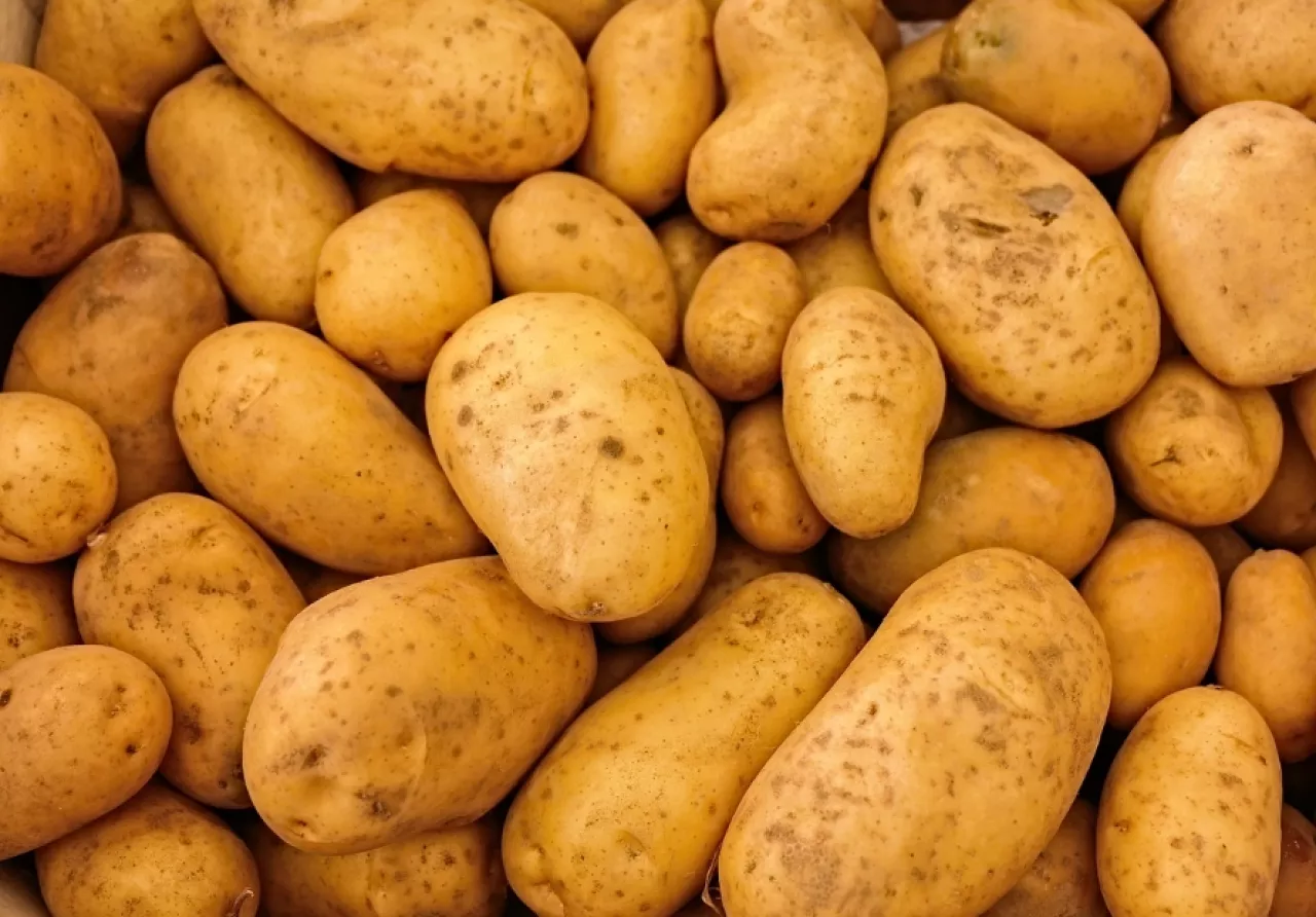 Segini Selisih Harga Kentang di Kabupaten dan Kota Blitar Perkilogramnya