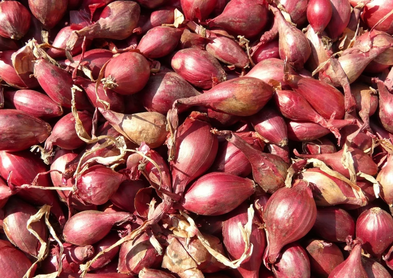 Di Kota Malang Tembus Rp41.000, Segini Harga Bawang Merah di Kota Blitar Hari Ini