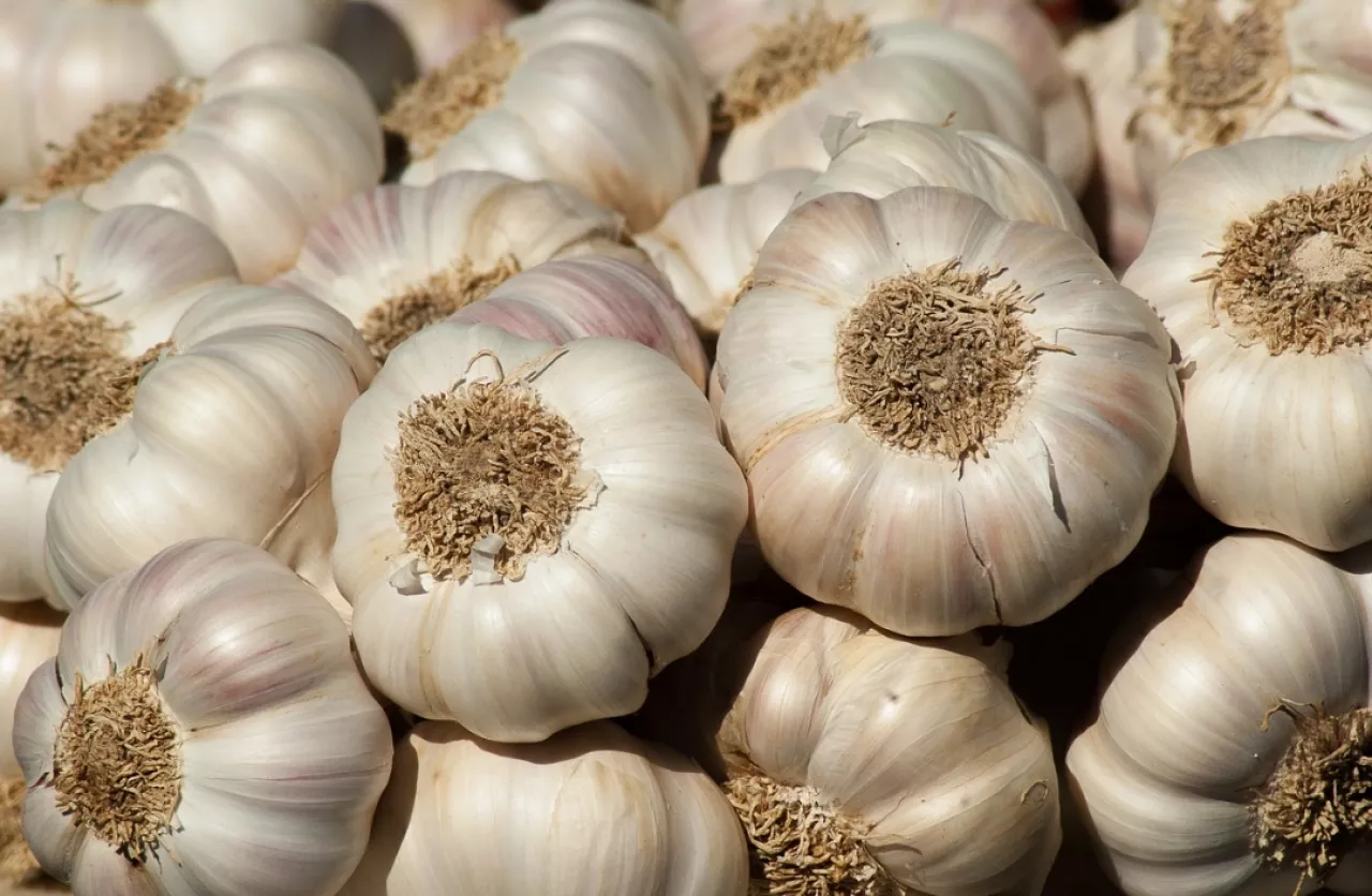 Lebih Murah dari Kota Blitar, Segini Harga Bawang Putih di Tulungagung Hari Ini