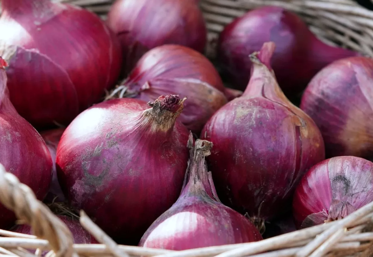 Selisih Tipis dengan Tulungagung, Cek Harga Bawang Merah di Kota Blitar Hari Ini