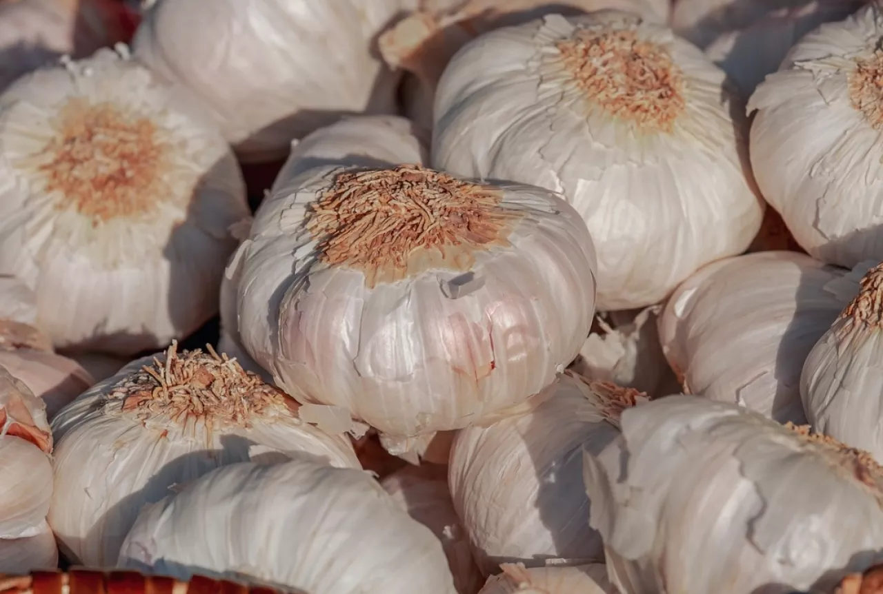 Lebih Mahal dari Kediri, Tulungagung dan Trenggalek, Segini Harga Bawang Putih di Kota Blitar Hari Ini