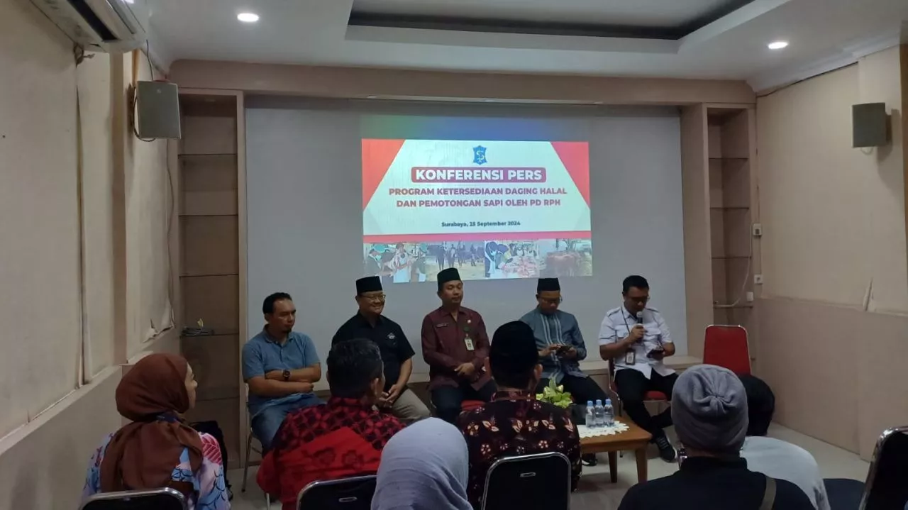 Ini Kata PPSDS Jatim dan PD RPH  Terkait Video Viral Pemingsanan Sapi Brahman Cross