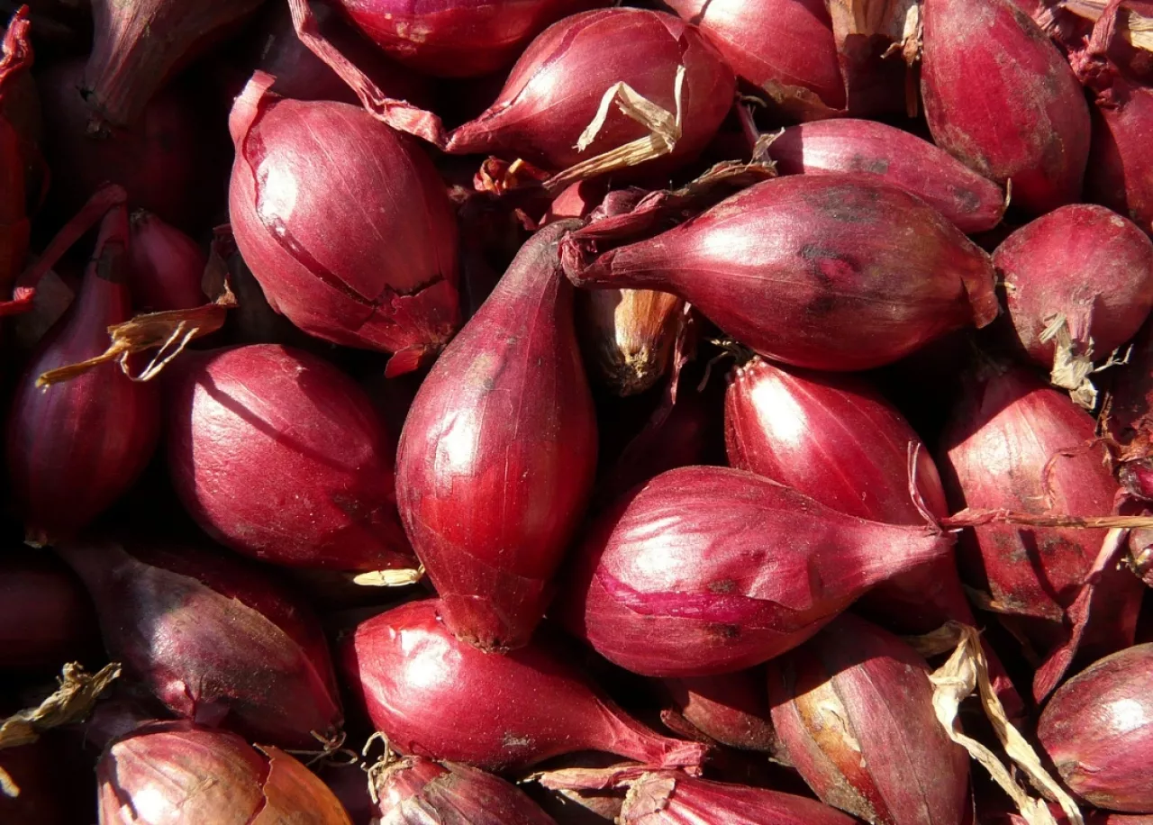 Harga Bawang Merah di Blitar dan Tulungagung Bersaing Tipis, Selisih Hanya Rp333