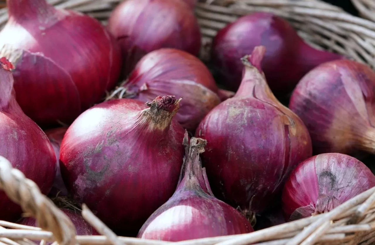 Harga Bawang Merah di Kota Blitar Capai Rp29.000 per Kilogram, Mendekati Tertinggi di Jawa Timur