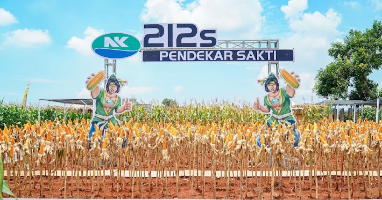 Lamongan Jadi Bagian Indikator Ketahanan Pangan Nasional, Tempatnya Sentra Produksi Jagung dan Padi