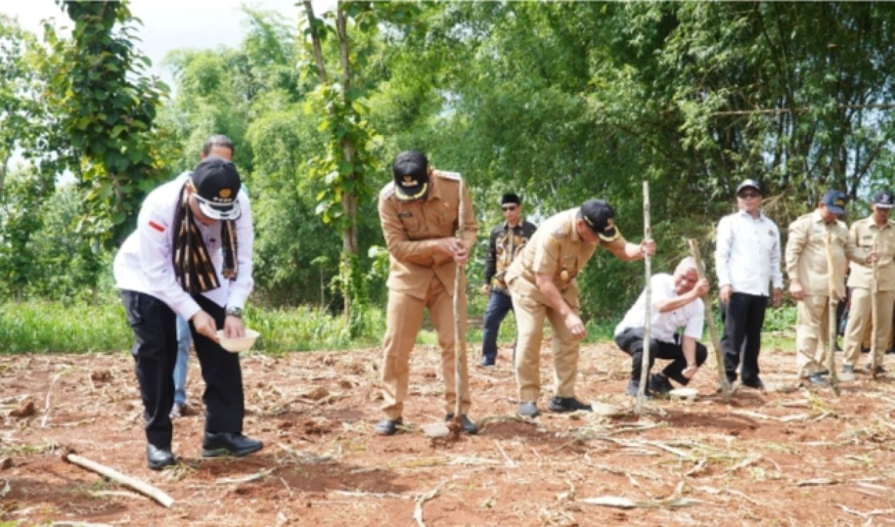 Kementan Tingkatkan Produksi Jagung Nasional, Lamongan Jadi Andalan