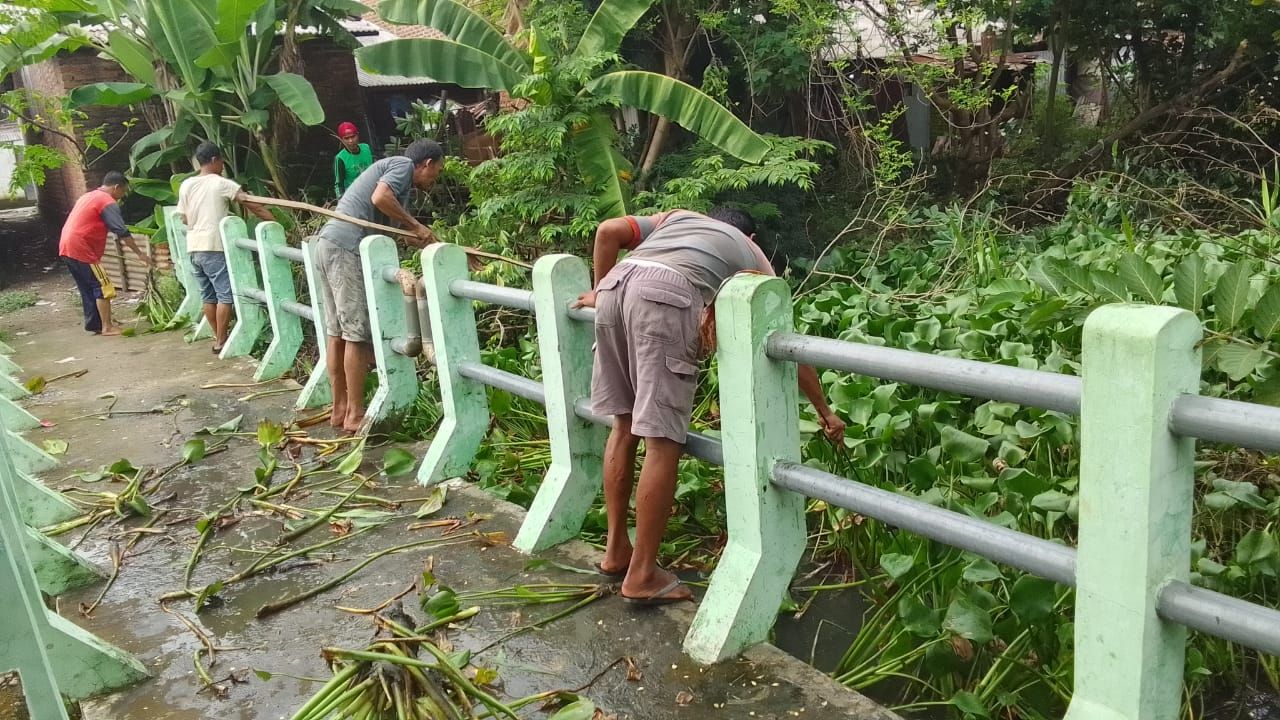 Cegah Banjir, Warga Desa Kedungsolo Dan Kelurahan Porong Normalisasi Mandiri Kali Balong